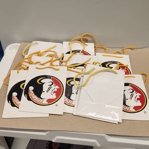 Florida State Seminoles Team Logo Indian Small Gift Bag 38 Lot Official Vintage